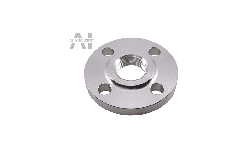 mat bích inox BS 5
