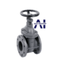 van cổng DN100 5