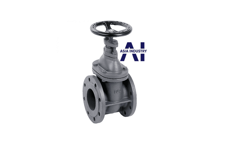 van cổng DN100 5