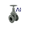 Van cổng DN80 5