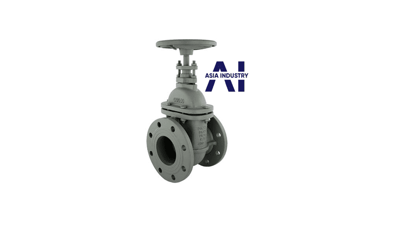 Van cổng DN80 5