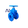 van cổng ty chìm DN100 3