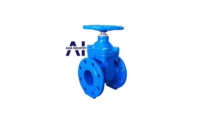 van cổng ty chìm DN100 3