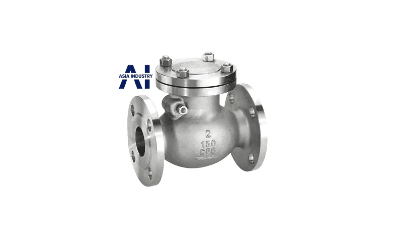 Van 1 chiều inox DN150 4