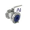 van bi inox mặt bích DN50 3