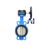 van bướm thân gang cánh inox 2