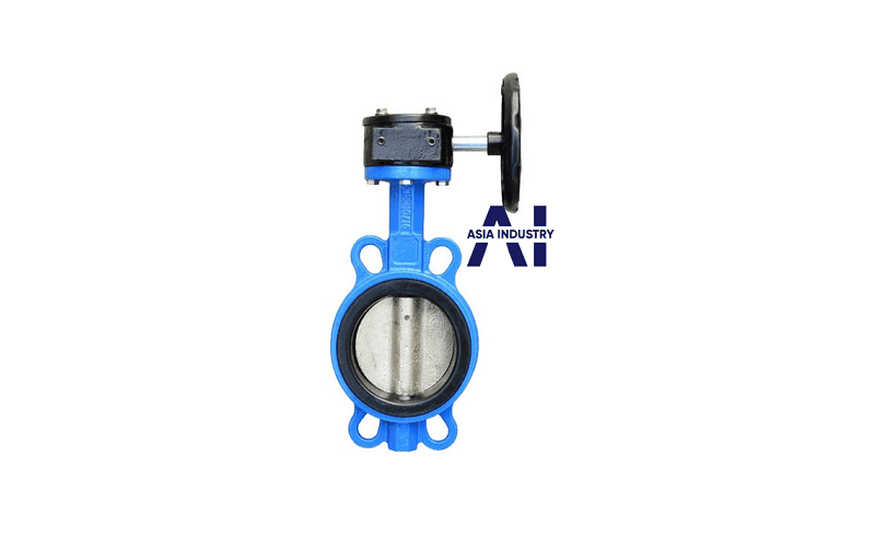 van bướm thân gang cánh inox 2
