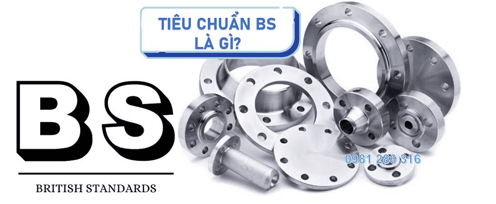 mặt bích BS 1 