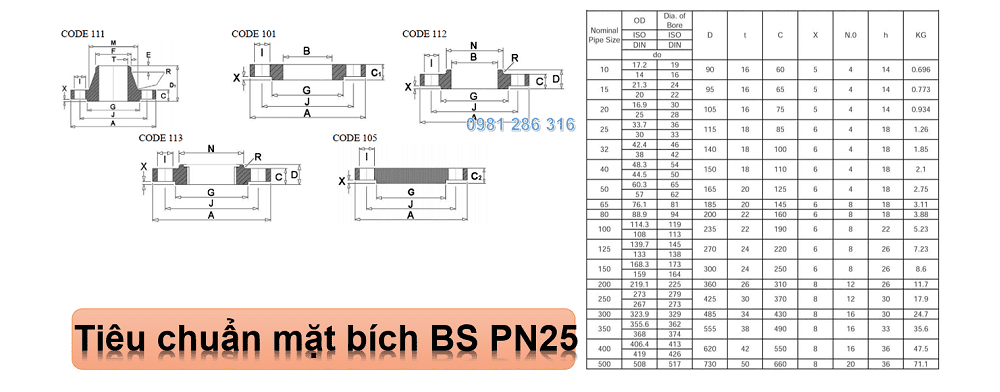 mặt bích BS 4