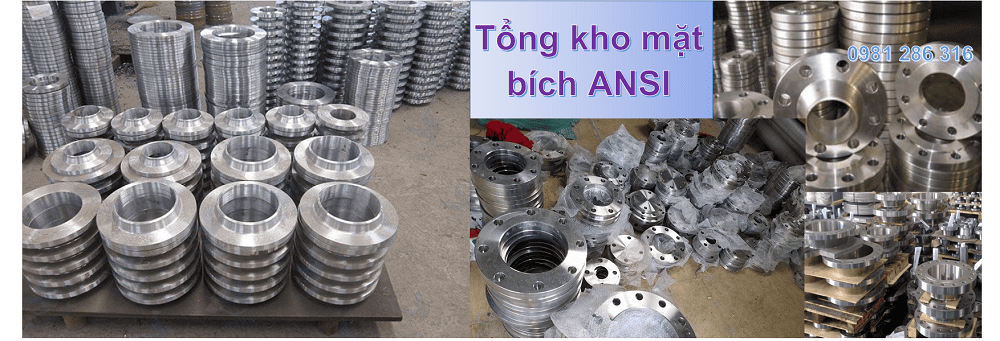 mặt bích ansi 7
